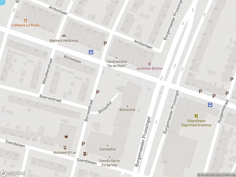 Ambulance met gepaste spoed naar de Billitonflat in Vlaardingen