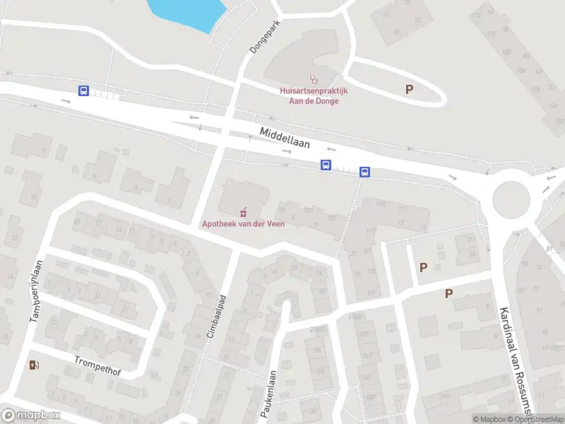 Overlastmelding Paukenlaan in Dongen