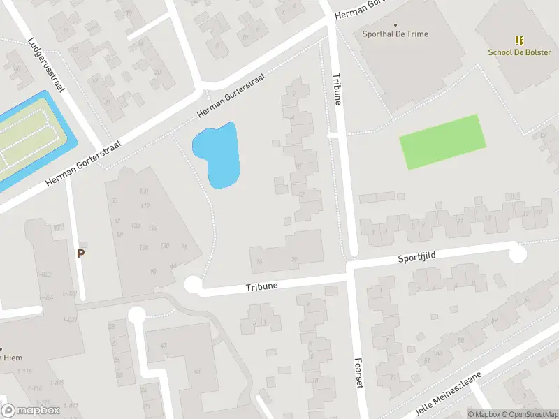 Brandweer met gepaste spoed naar de Tribune in Balk