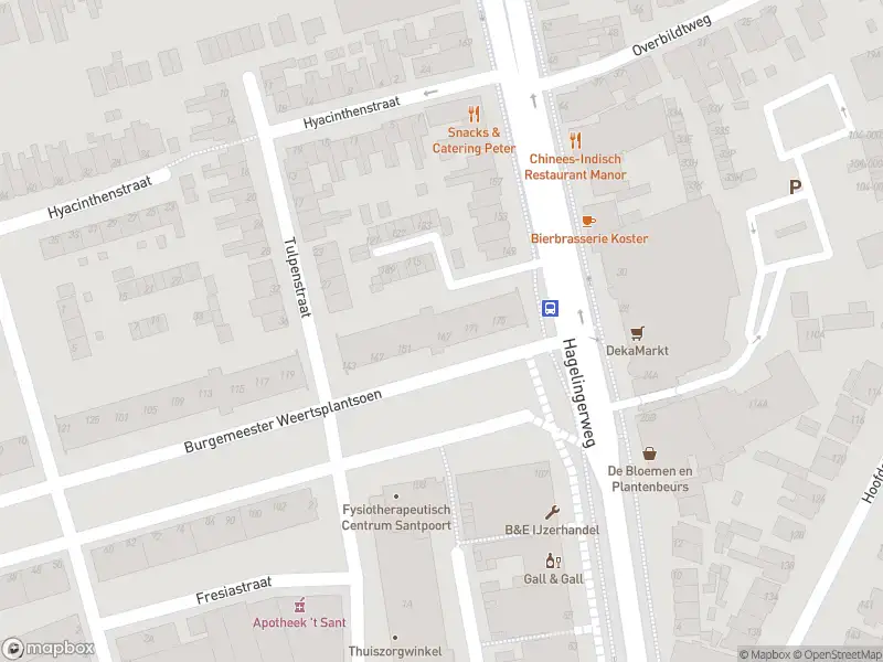 Overlastmelding Burgemeester Weertsplantsoen in Santpoort-Noord