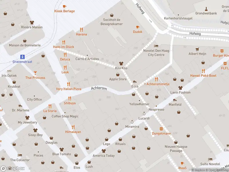 Ambulance met gepaste spoed naar de Hofweg in 's-Gravenhage