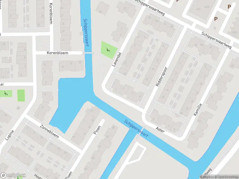 Overlastmelding Aster in Noordwijkerhout