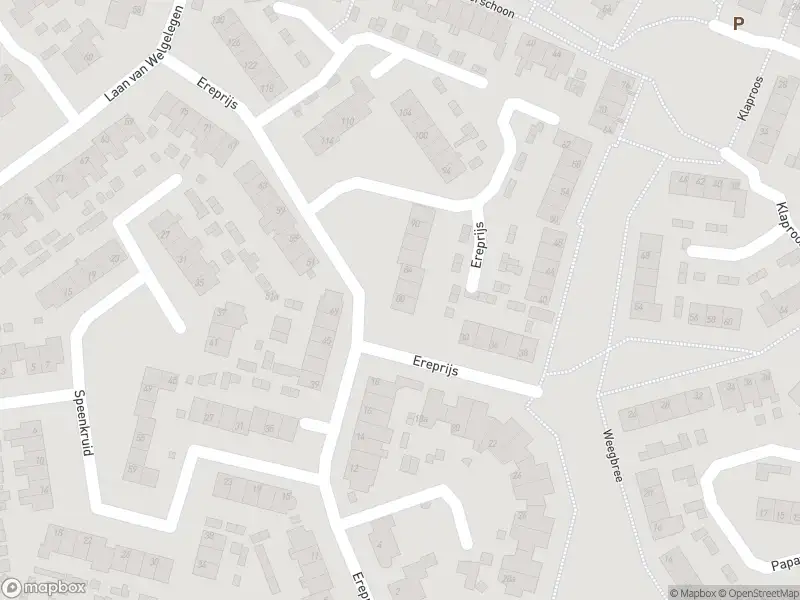 Ambulance met grote spoed naar de Ereprijs in Werkendam