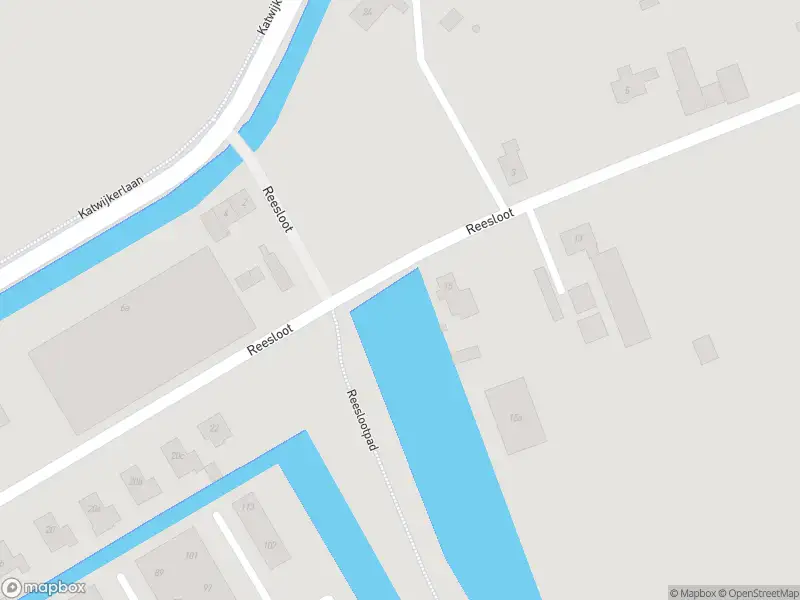 Ambulance met grote spoed naar de Reesloot in Pijnacker