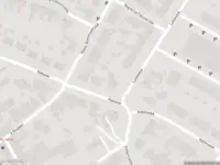 Overlastmelding Seefugel in Stiens