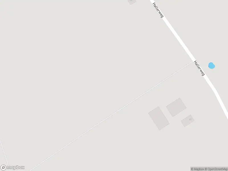 Ambulance met gepaste spoed naar de Hallerweg in Den Burg