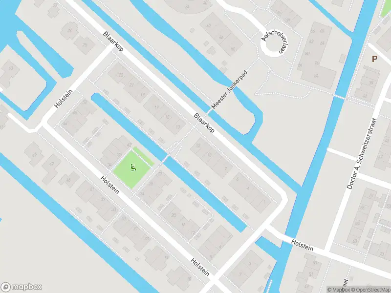 Ambulance met grote spoed naar de Blaarkop in Ter Aar