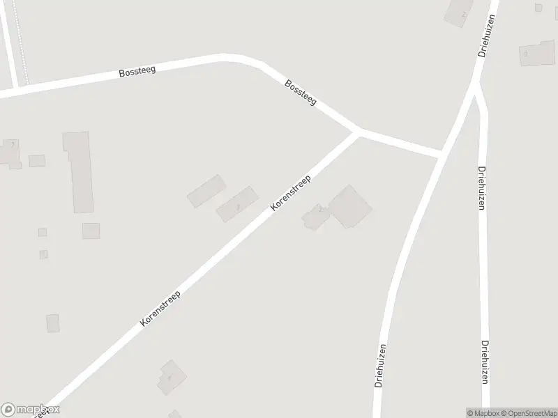 Brandweer met gepaste spoed naar de Korenstreep in Veghel