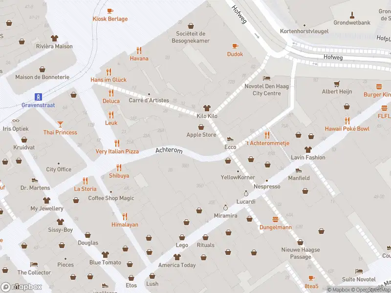 Ambulance met grote spoed naar de Hofweg in 's-Gravenhage