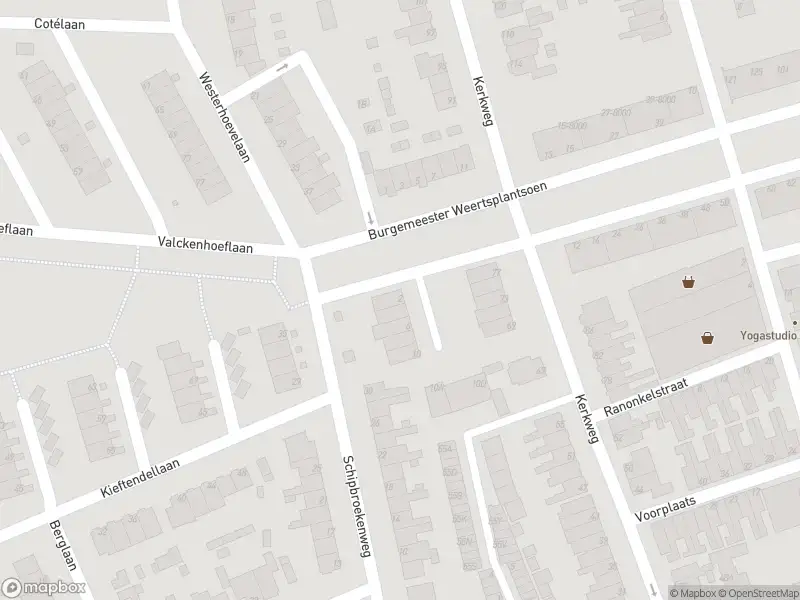 Overlastmelding Burgemeester Weertsplantsoen in Santpoort-Noord