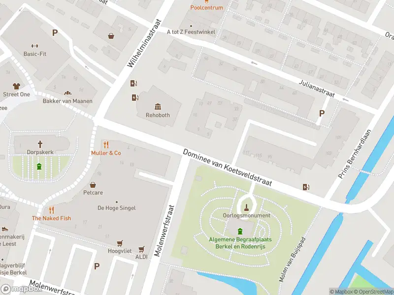 Ambulance met gepaste spoed naar de Ds. van Koetsveldstraat in Berkel en Rodenrijs