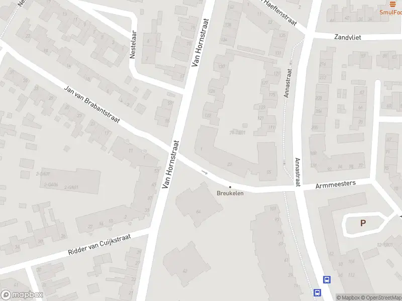 Brandweer met grote spoed naar de Maria van Dieststraat in Boxtel vanwege voertuigbrand