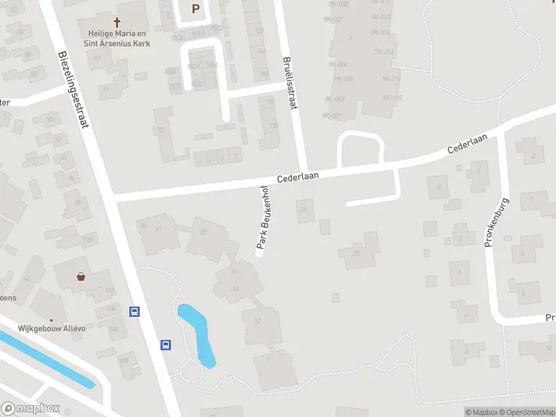 Overlastmelding Cederlaan in Kapelle