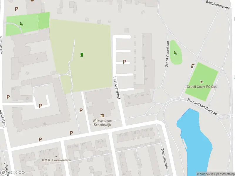 Politie naar de Pater Bleijsstraat in Oss vanwege steekincident