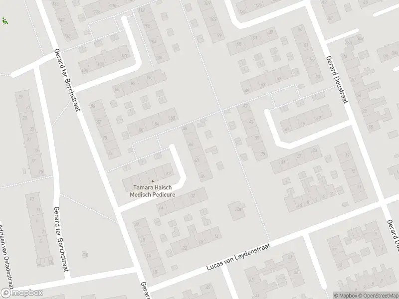 Politie met grote spoed naar de Anthonie van Dijckstraat in Roosendaal vanwege letsel