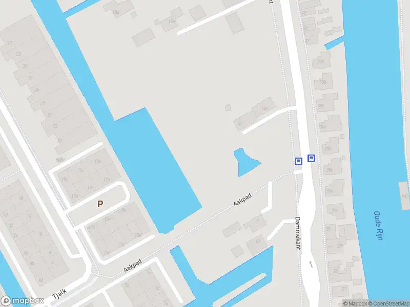 Ambulance met grote spoed naar de Dammekant in Bodegraven