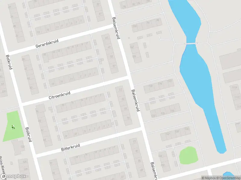 Ambulance met gepaste spoed naar de Balsemkruid in Rotterdam