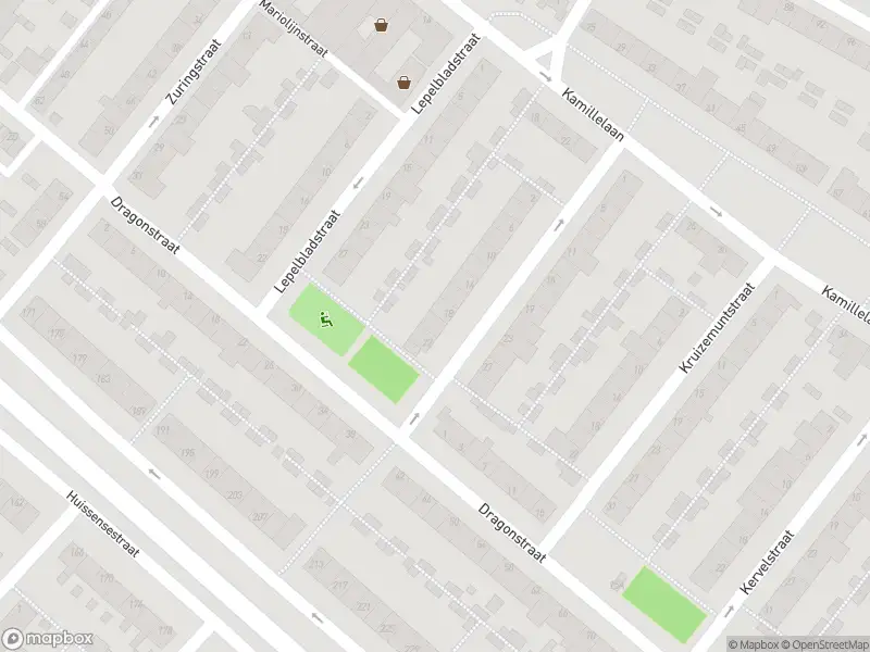 Overlastmelding Veerpolderstraat in Arnhem gesloten