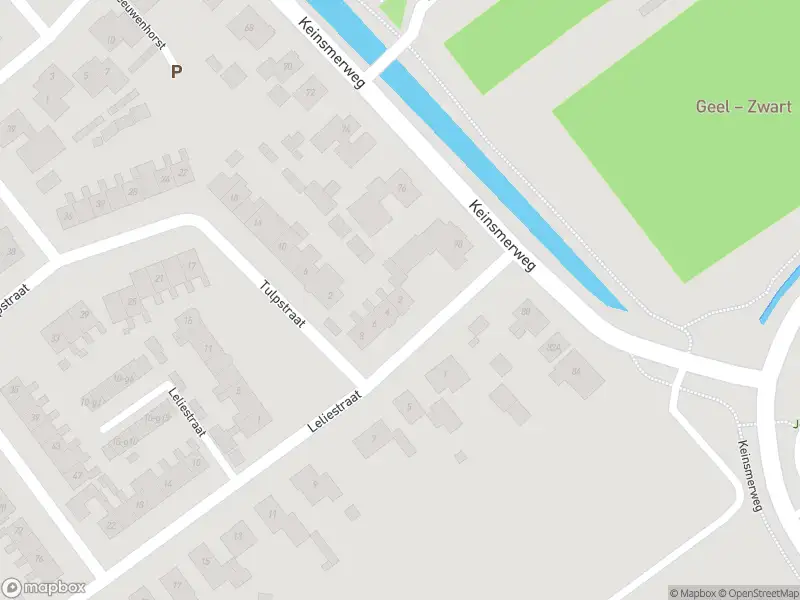 Overlastmelding Leliestraat in 't Zand