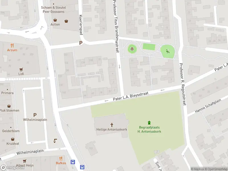 Overlastmelding Professor Titus Brandsmastraat in Best gesloten