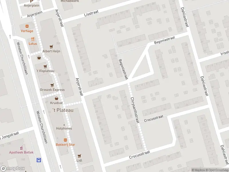 Ambulance met gepaste spoed naar de Begoniastraat in Spijkenisse