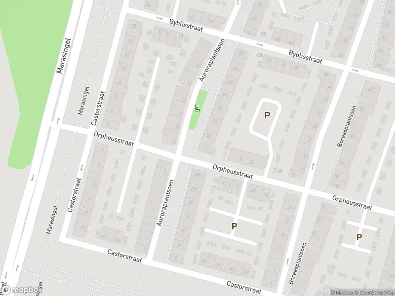 Overlastmelding Castorstraat in Arnhem (6846 XB)