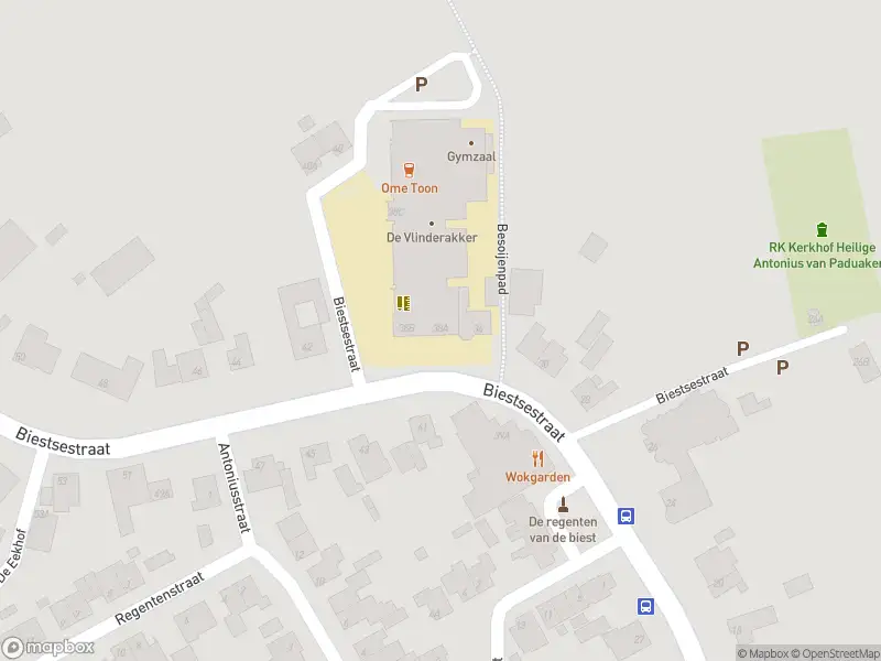 Overlastmelding Biestsestraat in Biest-Houtakker