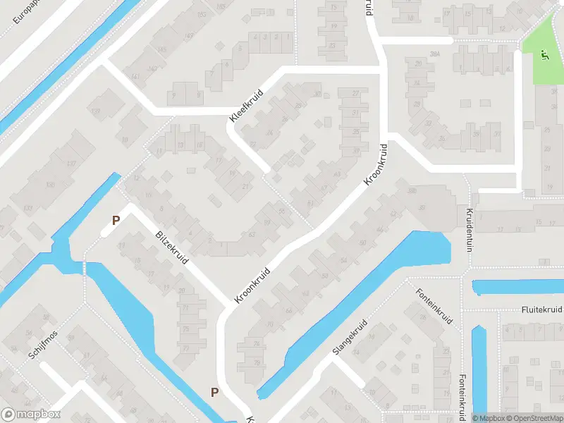 Ambulance met grote spoed naar de Kroonkruid in Nieuwerkerk aan den IJssel