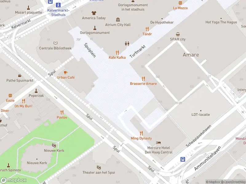 Ambulance met gepaste spoed naar de Spuiplein in 's-Gravenhage