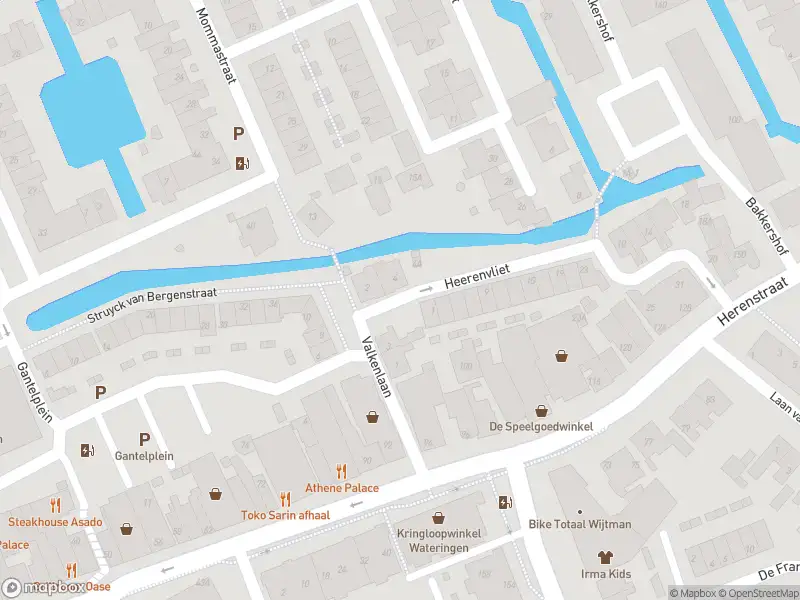 Ambulance met grote spoed naar de Heerenvliet in Wateringen