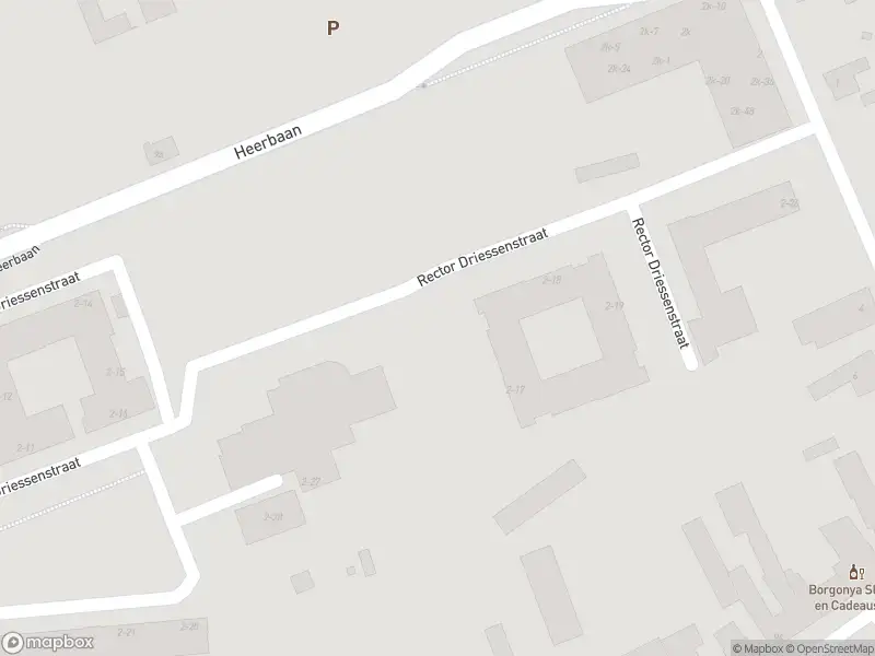 Ambulance met grote spoed naar de Rect. Driessenstraat in Heel