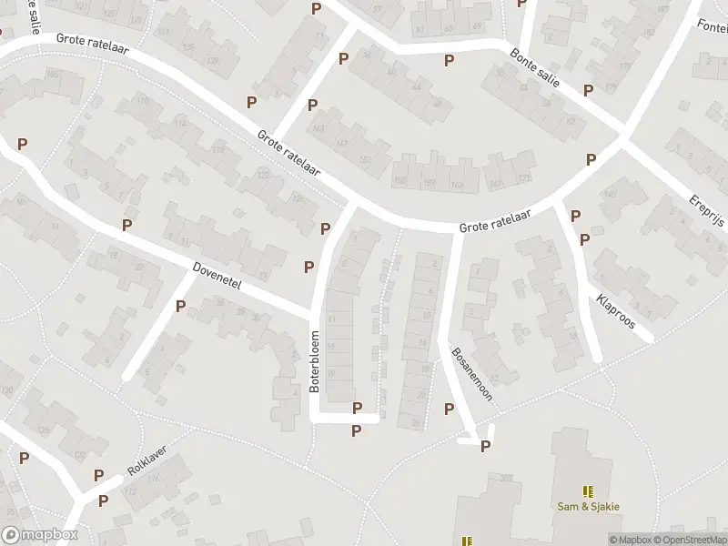 Brandweer met gepaste spoed naar de Grote ratelaar in Deventer vanwege afhijsen patient