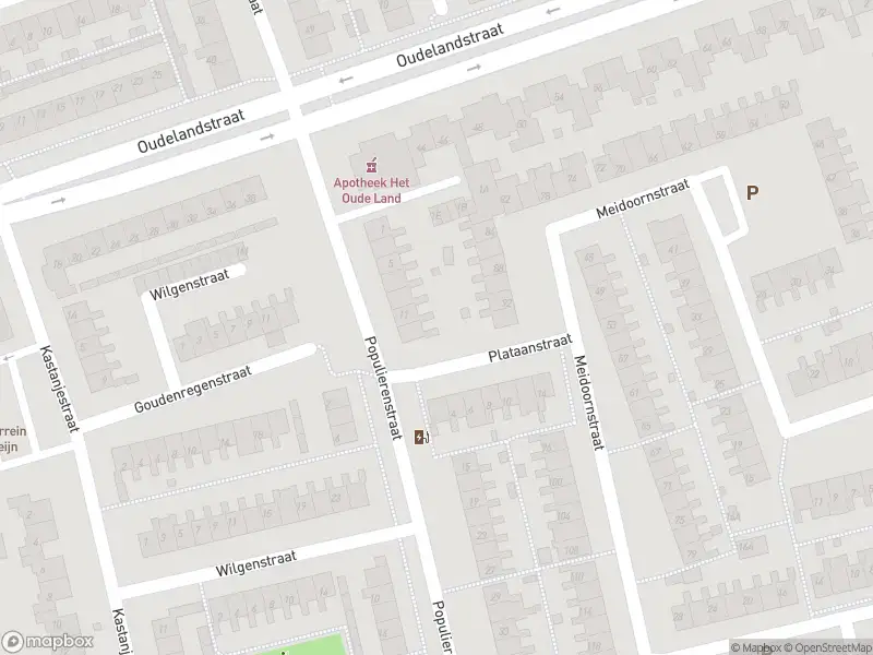 Brandweer met gepaste spoed naar de Van Geeststraat in 's-Gravenzande