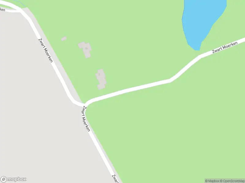 Politie met grote spoed naar de Zwart Moerken in Rijsbergen vanwege letsel