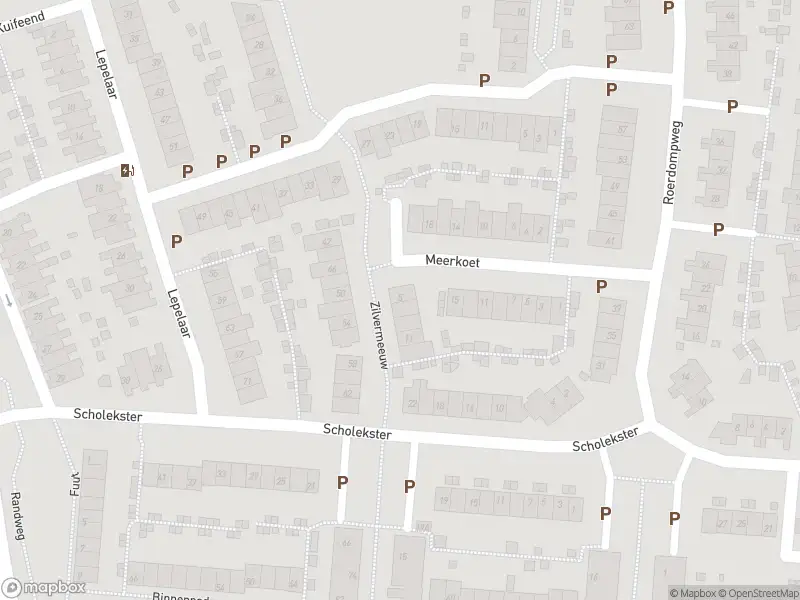 Overlastmelding Zilvermeeuw in Oud-Beijerland
