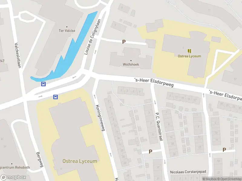 Overlastmelding 's-Heer Elsdorpweg in Goes