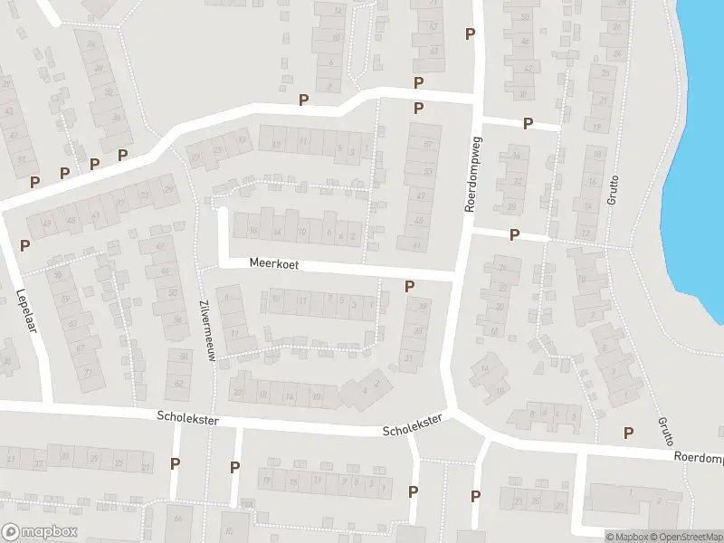 Overlastmelding Meerkoet in Oud-Beijerland gesloten