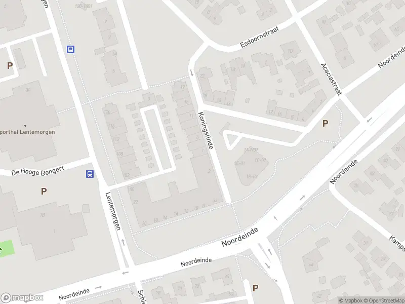 Overlastmelding Koningslinde in Zevenaar