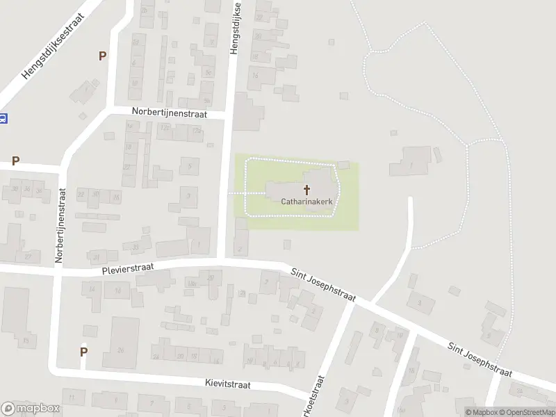 112 melding Brandweer met grote spoed naar de Norbertijnenstraat in Hengstdijk vanwege een buitenbrand