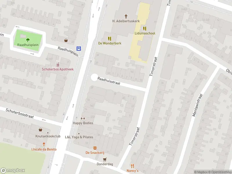 Brandweer met gepaste spoed naar de Raadhuisstraat in Haarlem vanwege afhijsen patient