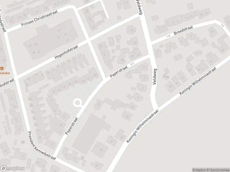 Politie naar de Voorstraat in Hedel vanwege aanrijding met letsel