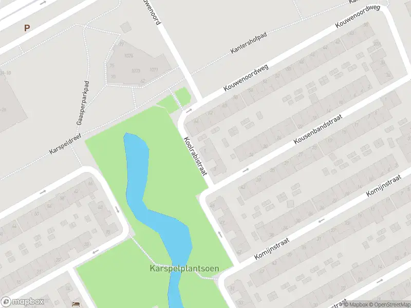 Ambulance met grote spoed naar de Koolrabistraat in Amsterdam