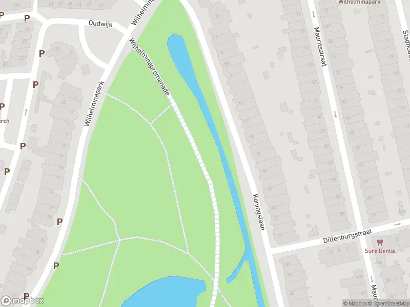 Politie naar de Wilhelminapark in Utrecht vanwege aanrijding met letsel