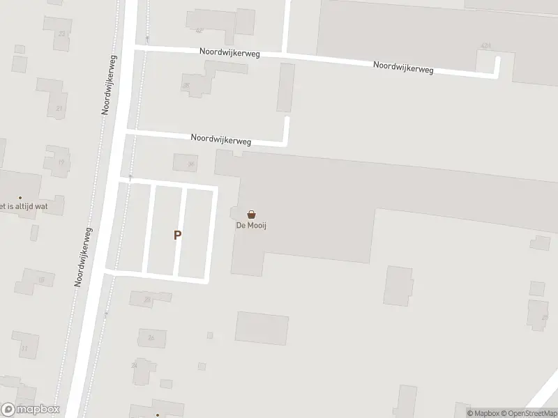Overlastmelding Noordwijkerweg in Rijnsburg