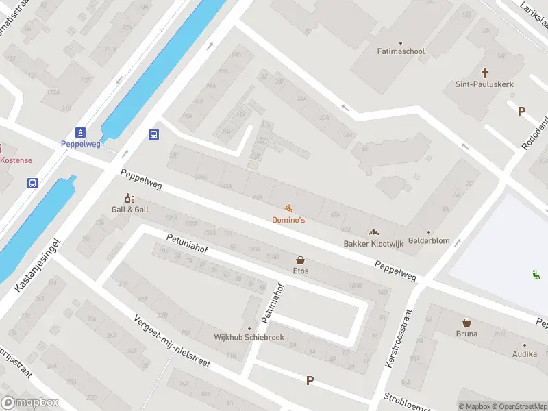 Ambulance met gepaste spoed naar de Peppelweg in Rotterdam