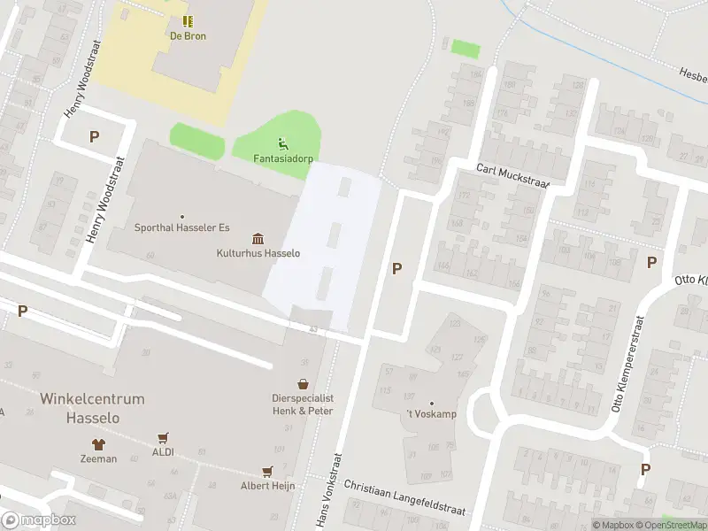 Brandweer met grote spoed naar de Christiaan Langefeldstraat in Hengelo vanwege gebouwbrand