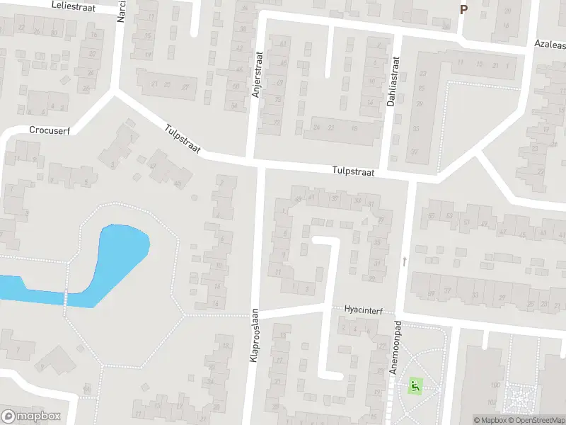 Overlastmelding Klaprooslaan in 's-Gravendeel gesloten