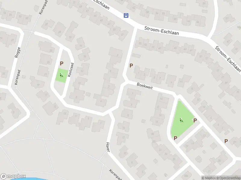 Brandweer met grote spoed naar de Koolzaad in Borne vanwege afhijsen patient