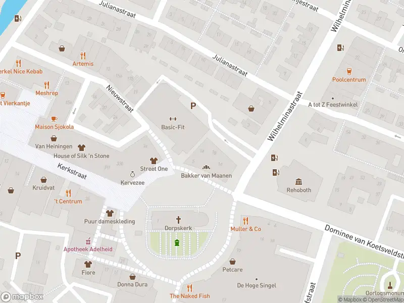 Ambulance met grote spoed naar de Wilhelminastraat in Berkel en Rodenrijs