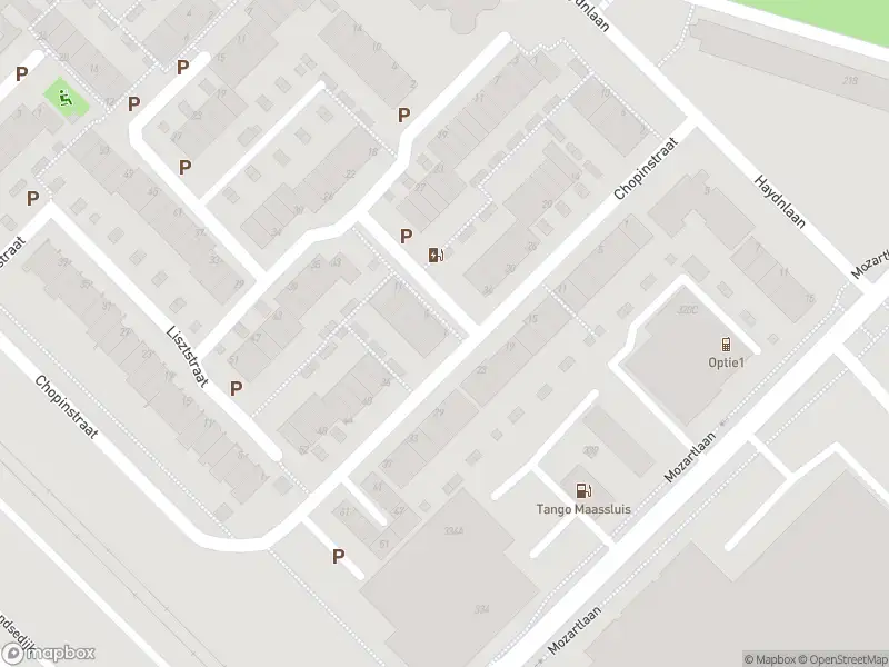 Ambulance met grote spoed naar de Verdistraat in Maassluis